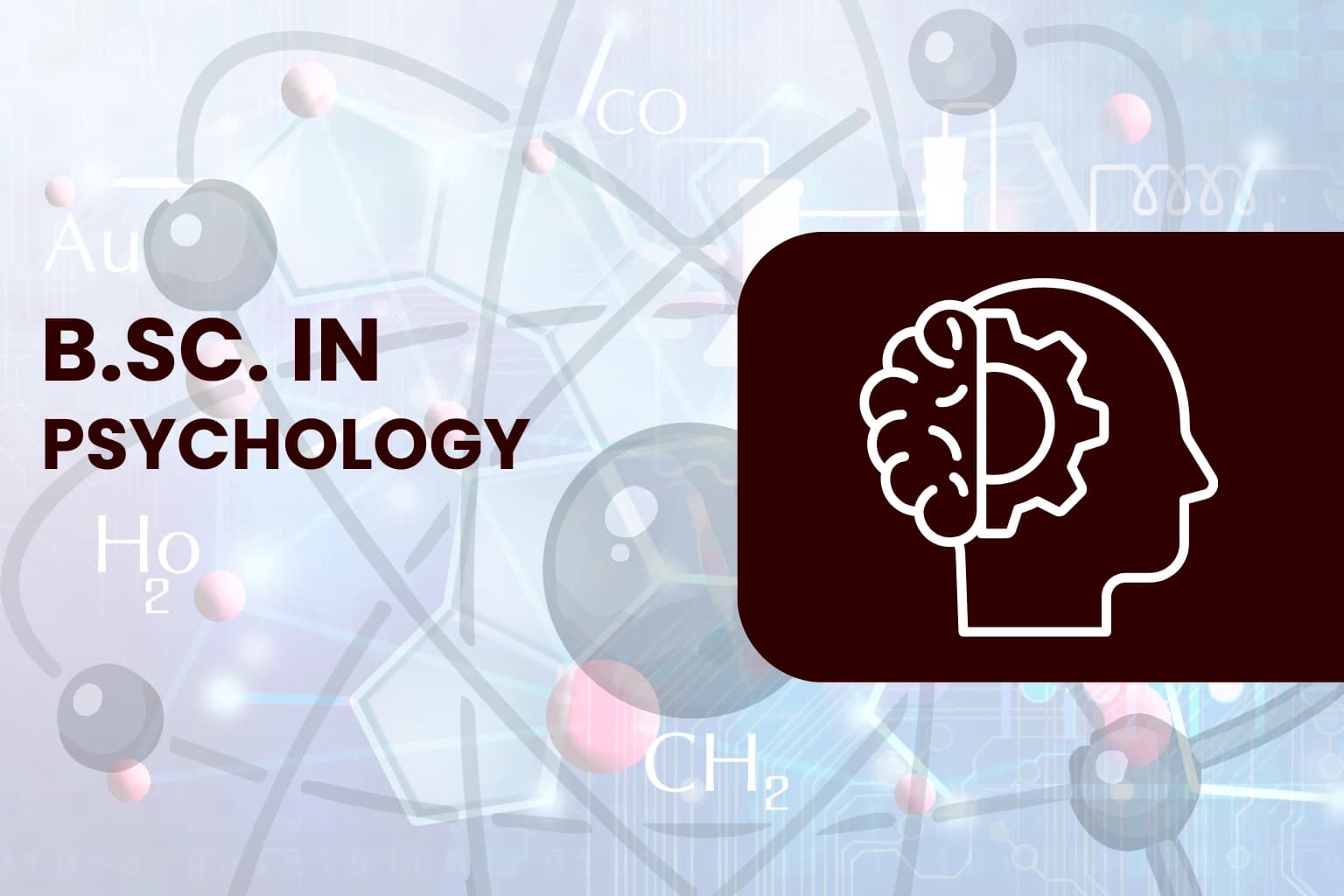 B.Sc. in Psychology
