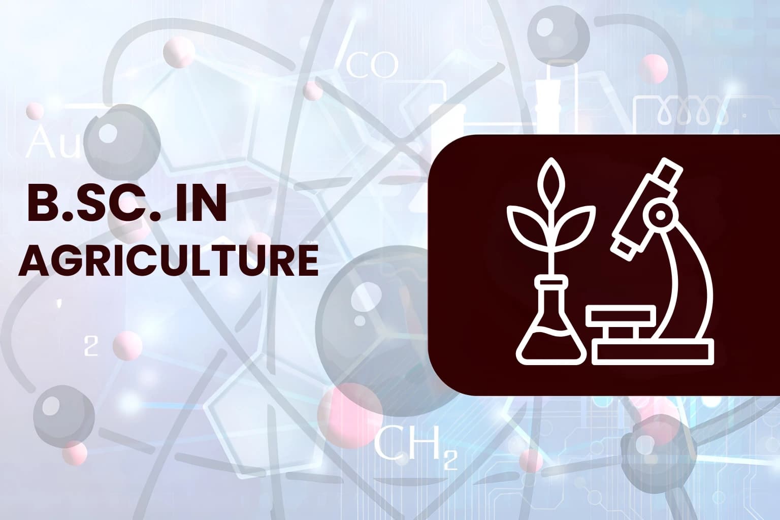 B.Sc. in Agriculture