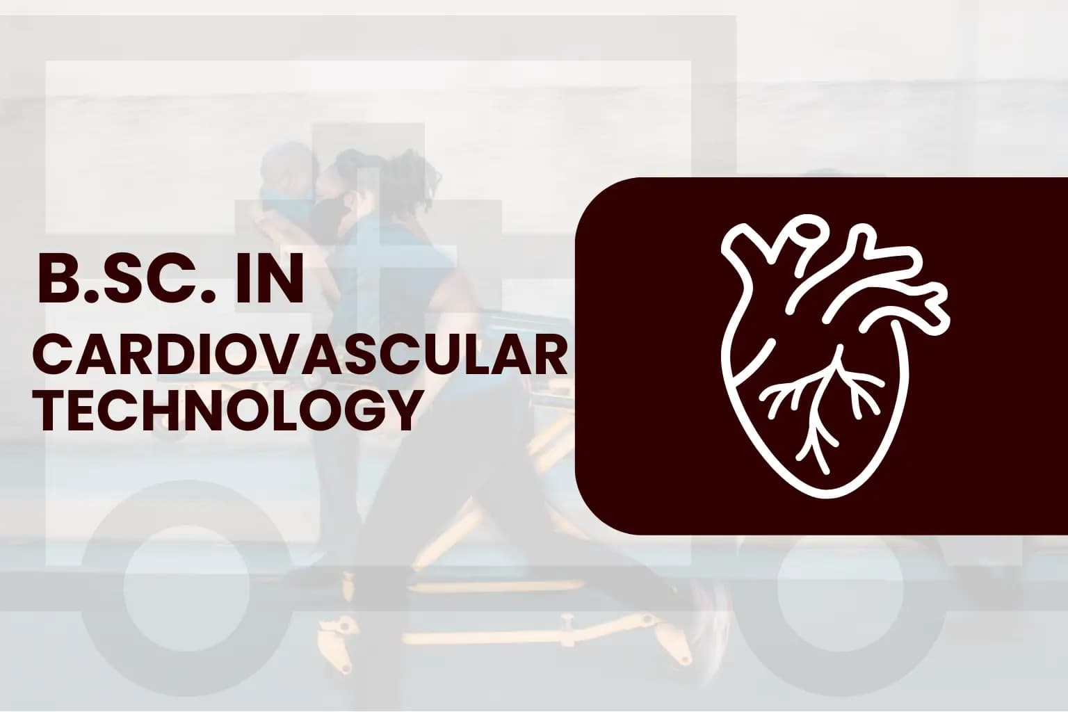 B.Sc. in Cardiovascular Technology