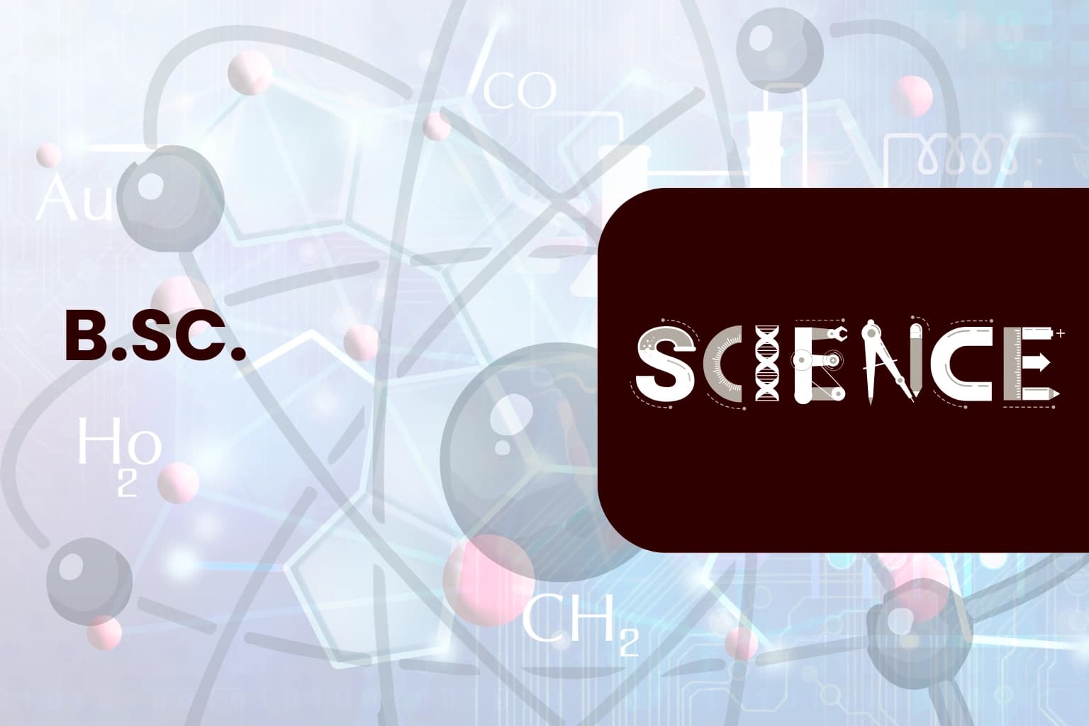 B.Sc. (PCM/PCB/ZBC)