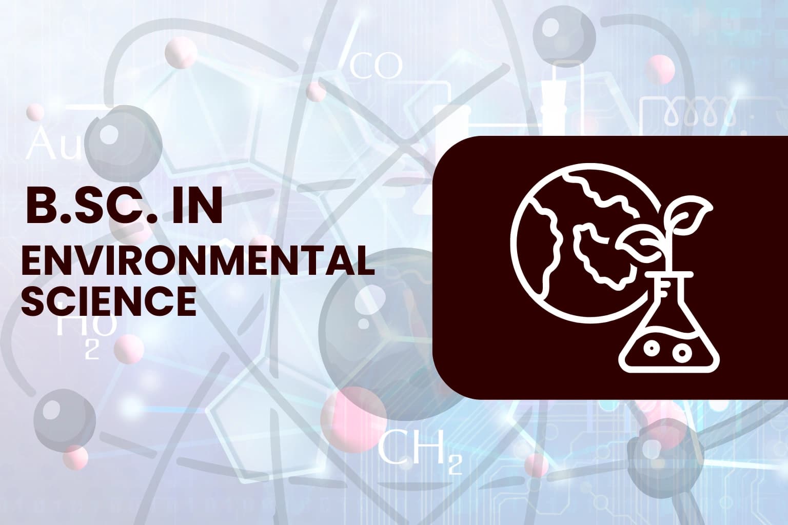 B.Sc. in Environmental Science